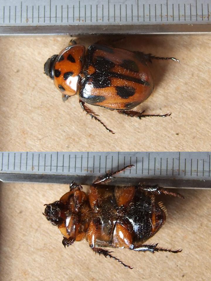 FIGURE 3 FIGURE 3